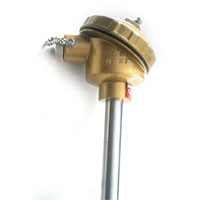 WRE2-130-F耐腐熱電偶