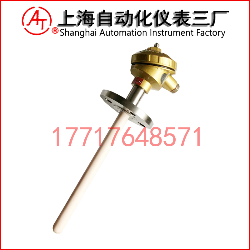 WRR2-420雙支鉑銠熱電偶